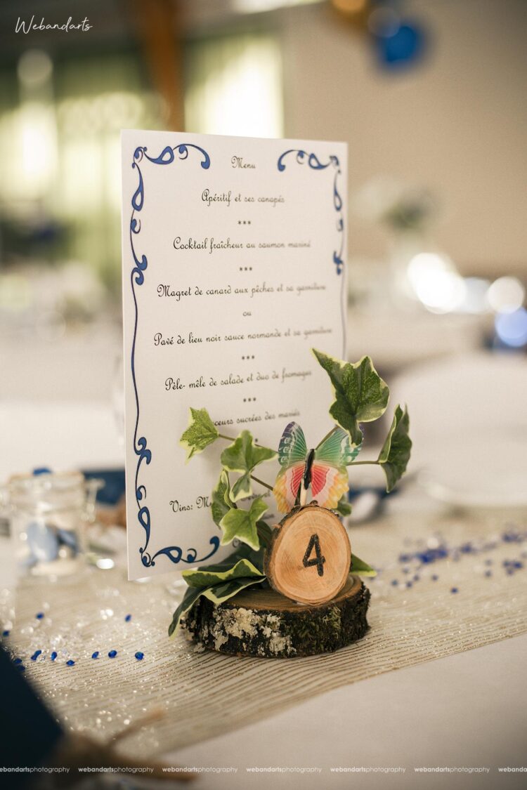 french tamil mariage yvelines paris france