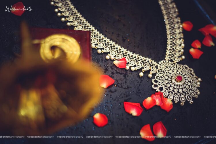 Indian Tamil wedding photography Lyon