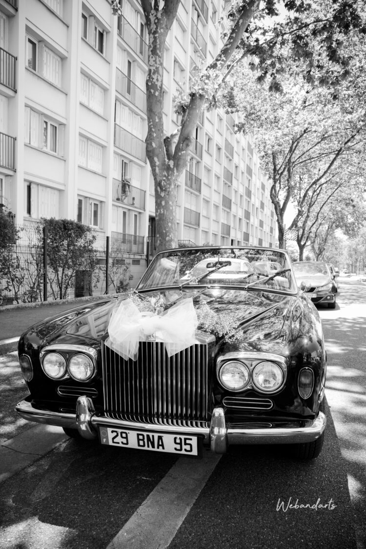 civil mariage lyon webandarts photographe